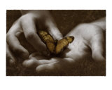 The Butterfly Effect