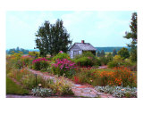 Garden Shed