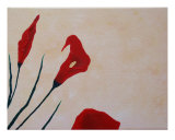 Callas3