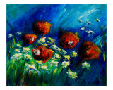 Red Poppies And Daisies