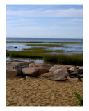 Paines Creek