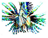 Spider Fish