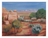 Desert Vista