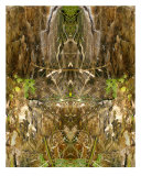 Nature Spirits 182