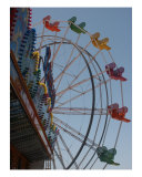 Santa Cruz Ferris Wheel