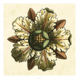 Oversize Rosette I