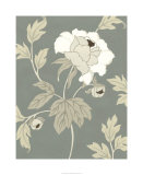 Peony Elegance II