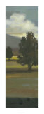 Mountain Range IV