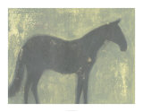Grey Horse