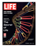 Partial DNA Helix Model  Advances in Gene Research  October 4  1963