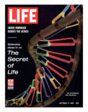 Partial DNA Helix Model  Advances in Gene Research  October 4  1963