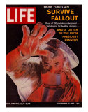 How You Can Survive Fallout  September 15  1961