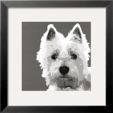 West Highland Terrier
