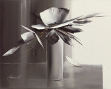 Bouquet Gris I