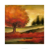 Harvest Maple II
