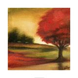 Harvest Maple I