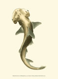Shark Tale II