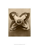 Sepia Botany Study V