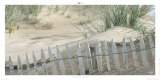Couleur Sable