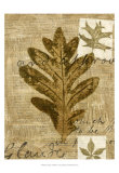 Leaf Collage I