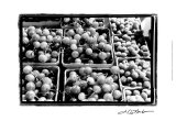 Farmer's Market V