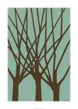 Dichromatic Elms III