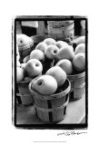 Farmer's Market IV