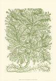 Mossy Branches IV
