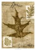Leaf Collage II