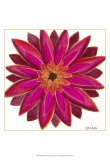 Bright Blossoms III