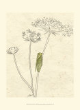 Summer Chorus I