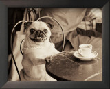 Cafe Pug