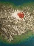 Cordylima