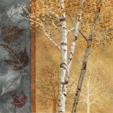 Birch Tree in Autumn I