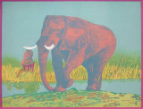 Elefante III