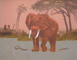 Elefante I