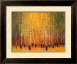 Aspen Glow