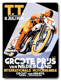 Dirt Track TT Motorcycle Racing