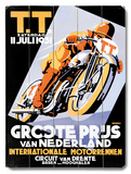 Dirt Track TT Motorcycle Racing