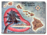 The Islands of Hawaii Map
