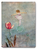 Fairy
