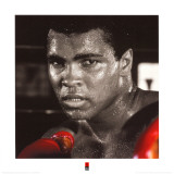Muhammad Ali: Gloves