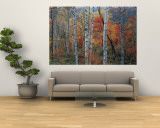 Fall Trees  Shinhodaka  Gifu  Japan