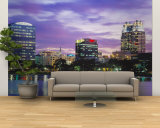Panoramic View of an Urban Skyline at Night  Orlando  Florida  USA