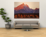 Aspens  Teton Range  Grand Teton National Park  Wyoming  USA