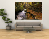 Buttermilk Creek  Ithaca  New York State  USA