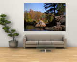 Deciduous Trees along Moose River  Adirondack Mountains  Adirondack State Park  New York  USA