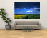 Clouds Over a Cultivated Field  Hunmanby  Yorkshire Wolds  England  United Kingdom