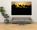 Silhouette of Camels in a Desert  Pushkar Camel Fair  Pushkar  Rajasthan  India
