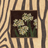 Paperwhites I